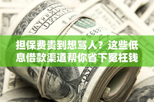 济南担保费贵到想骂人？这些低息借款渠道帮你省下冤枉钱