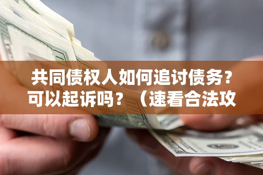 济南共同债权人如何追讨债务？可以起诉吗？（速看合法攻略）